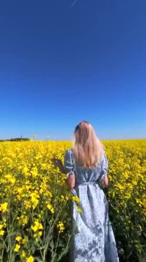 Güneşli bahar gününde sarı kolza tohumu tarlasında yürüyen bir kadının sinematik FPV görüntüsü. Doğa, özgürlük ve yavaş yaşam temaları için huzurlu kırsal yaşam tarzı sahneleri.