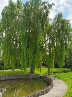 Şehrin en güzel parkı.