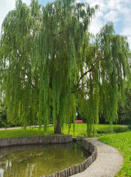 Şehrin en güzel parkı.