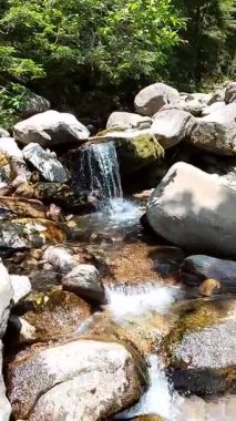 Ormanda güzel bir şelale