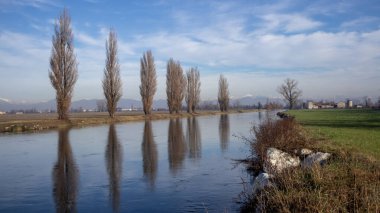 Parkta ağaç olan nehir.