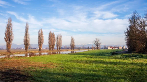 Nehir ve gölü olan güzel bir manzara.