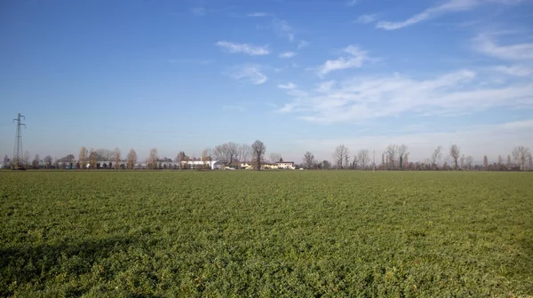 Yeşil ve mavi gökyüzü olan güzel bir manzara.