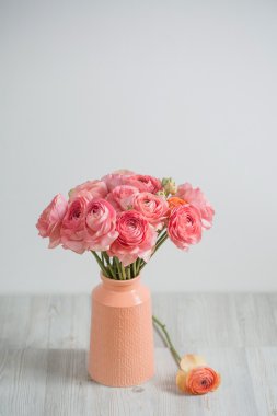 bunch of pale pink ranunculus persian buttercup  light background, wooden surface. glass vase