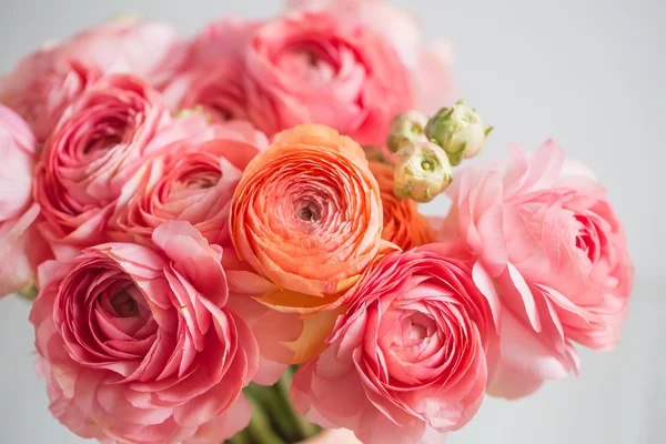 Gäng blek rosa ranunculus Persiska buttercup ljus bakgrund, träytan. glasvas — Stockfoto