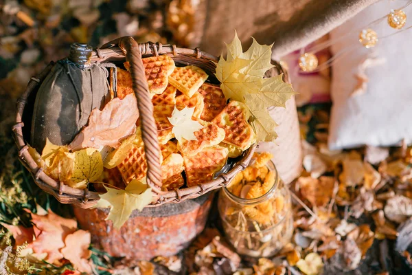 Biscuits frais cuits dans un panier. forêt d'automne — Photo