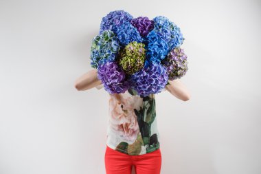 Grup mavi renkli ortanca beyaz arka planı tutan el. parlak renkler. Mor bulut. 50 tonları