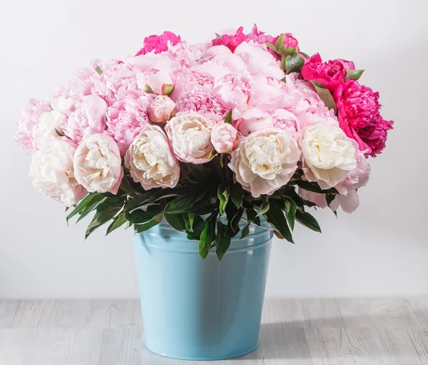 Fresh bright blooming peonies flowers with dew drops on petals. white and pink bud. blue bowl bucket — Stock Photo, Image