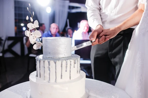 Noiva e noivo na recepção do casamento cortando o bolo — Fotografia de Stock