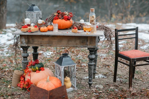 Halloween inspiration. Höstens stilleben. pumpa, torr rosor, viburnum honung kaka. i en vas. kvistar. på bordet — Stockfoto