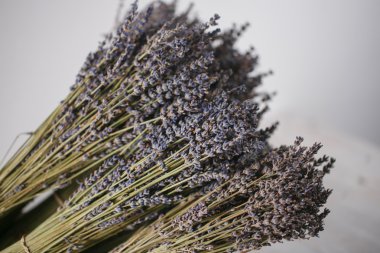 backet ahşap arka plan üzerinde kurutulmuş lavanta demet