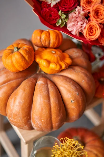 Autumn mood. Set of pumpkins and orange and red flowers for Interior decorations. The work of the florist at a flower shop. Fresh cut flower. — Stock Photo, Image