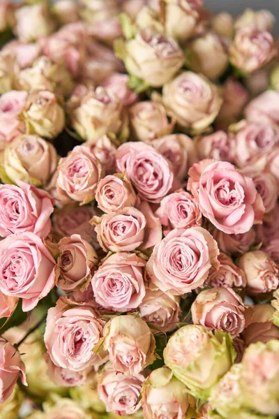 Floral carpet, flower texture, shop concept. Beautiful fresh blossoming flowers roses, spray roses. Blossom of pastel color in vases and pails. Top view. — Stock Photo, Image