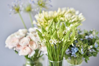 İç dekorasyon için beyaz ve mavi çiçekler. Çiçekçi dükkanındaki çiçekçinin işi. Taze kesilmiş çiçek. Avrupa çiçekçisi. Taze kesilmiş çiçek getirdim.