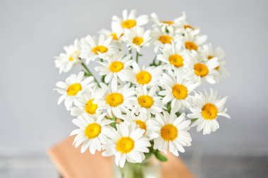 Vazoda papatya çiçekleri. Yaz dönemi. Anneler Günü için bir buket papatya hediyesi. Çiçek kataloğu için online çiçek mağazası ve teslimatı fotoğrafı.