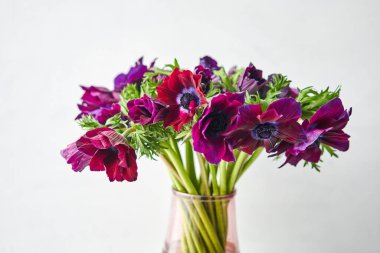 Magenta ve menekşe renginde gelincik şakayıkları. Bir sürü çiçek, harika bir arka plan. Çiçekçi dükkanındaki çiçekçinin işi. Taze kesilmiş çiçek getirdim. Avrupa Çiçek Dükkanı.