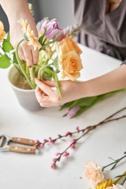 Çiçekleri adım adım vazoya yerleştirin. Çiçek demeti, eve gitmek için hazır. Dekorasyon için taze kesilmiş çiçekler. Avrupa çiçekçisi. Taze kesilmiş çiçek getirdim..