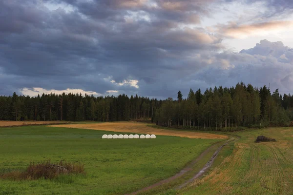 the nature of Finland