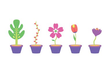 Vektör çiçek Tencere Seti