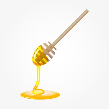 Bal Ayı'yı illüstrasyon