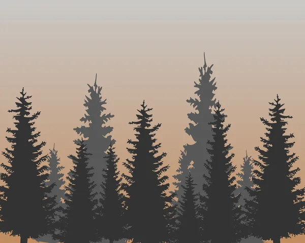 Illustration forêt de sapins — Image vectorielle