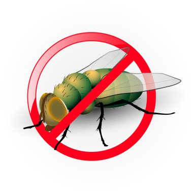 Böcek sinek daire içinde geçti üzerinde beyaz izole.