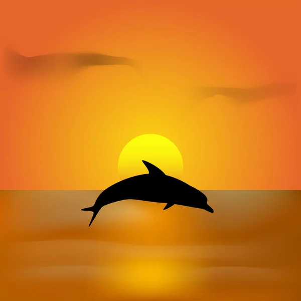Delfin skoki o zachodzie słońca — Wektor stockowy