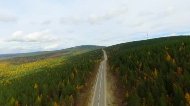 Sonbahar ormanı üzerinde kuş bakışı bir hava uçuşu. Rusya Buryatia