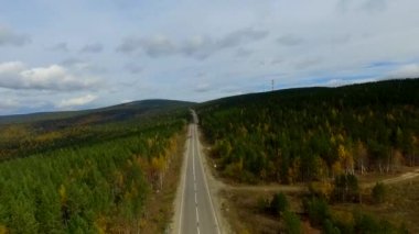 Sonbahar ormanı üzerinde kuş bakışı bir hava uçuşu. Rusya Buryatia