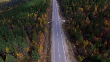 Sonbahar ormanı üzerinde kuş bakışı bir hava uçuşu. Rusya Buryatia
