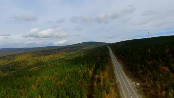 Lot ptaków oko lotu samolotem na drodze jesiennego lasu. Rosja Buryatia — Wideo stockowe