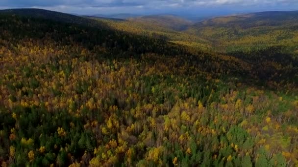 Повітряний політ з висоти пташиного польоту над дорогою осінній ліс. Росія Бурятія — стокове відео