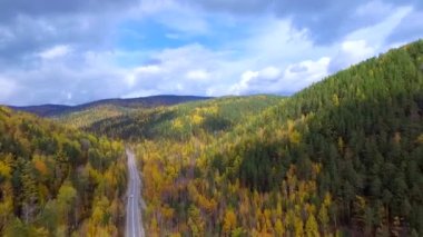 Sonbahar ormanı üzerinde kuş bakışı bir hava uçuşu. Rusya Buryatia