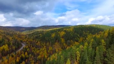 Sonbahar ormanı üzerinde kuş bakışı bir hava uçuşu. Rusya Buryatia
