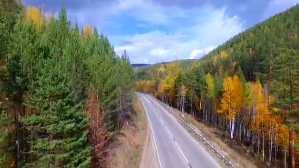 道路の秋の森の上の鳥の目の空中飛行。ロシア・ブリヤート — ストック動画