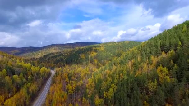 Letecký let ptáků nad silnicí na podzimní les. Ruská Burjatie — Stock video