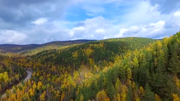 Повітряний політ з висоти пташиного польоту над дорогою осінній ліс. Росія Бурятія — стокове відео