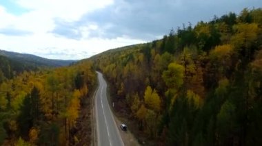 Sonbahar ormanı üzerinde kuş bakışı bir hava uçuşu. Rusya Buryatia