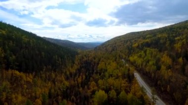 Sonbahar ormanı üzerinde kuş bakışı bir hava uçuşu. Rusya Buryatia