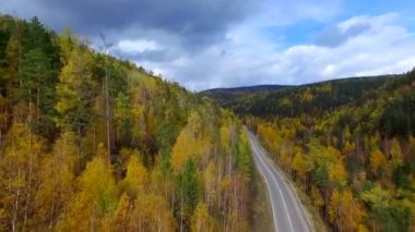 Sonbahar ormanı üzerinde kuş bakışı bir hava uçuşu. Rusya Buryatia