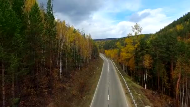 Повітряний політ з висоти пташиного польоту над дорогою осінній ліс. Росія Бурятія — стокове відео