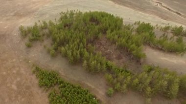 Dronun Ulan-Ude, Buryatia, Rusya Federasyonu yakınındaki dağlarda orman üzerinde uçan