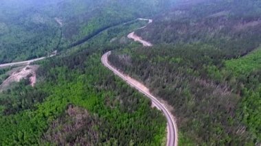 Deniz Baykal giderken yolun ormanın içinde üzerinde video dron havadan görünümü