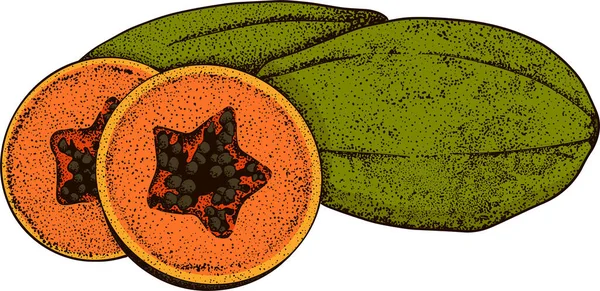 病媒手绘一套奇异的果实 分离木瓜 雕刻的彩色艺术 用于餐馆 派对装饰 平滑碗 — 图库照片