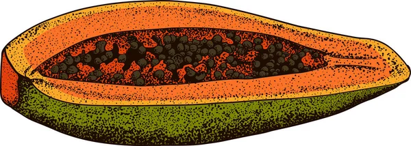 Vektor Kézzel Húzott Készlet Egzotikus Gyümölcsök Elszigetelt Papaya Gravírozott Színes — Stock Fotó