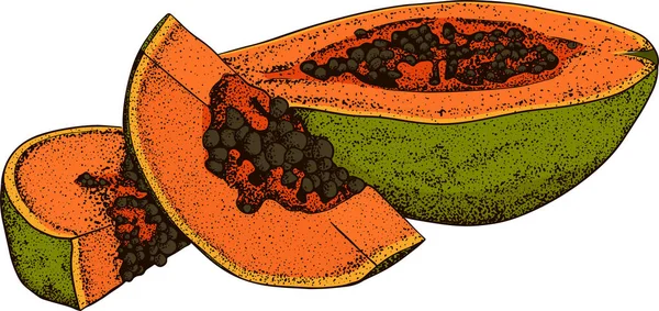 病媒手绘一套奇异的果实 分离木瓜 雕刻的彩色艺术 用于餐馆 派对装饰 平滑碗 — 图库照片