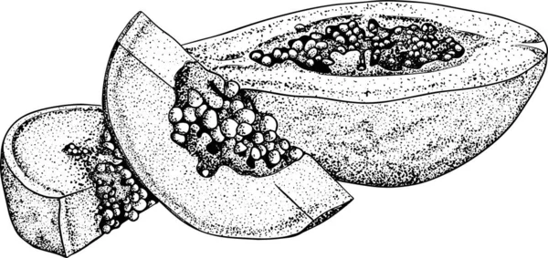 パパヤ 手描きのパパイヤのセット 新鮮な有機食品 スケッチフルーツとベクトルイラスト — ストック写真