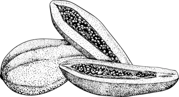 Παπάγια Σετ Παπάγια Ζωγραφισμένα Στο Χέρι Φρέσκα Βιολογικά Τρόφιμα Εικονογράφηση — Φωτογραφία Αρχείου