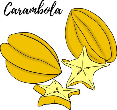 Carambola. Bir dilim Carambola. Egzotik tropikal meyve. Vektör El Çizimi. Çizim Botanik Çizimi. Sağlıklı çevre yiyecekleri. Süper yemek. Beyaz arkaplanda.