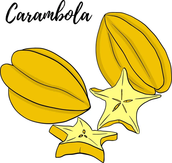 Carambola 一片木乃伊 奇异的热带水果 矢量手绘 素描植物图解 生态健康食品 超级食物 白色背景 — 图库照片